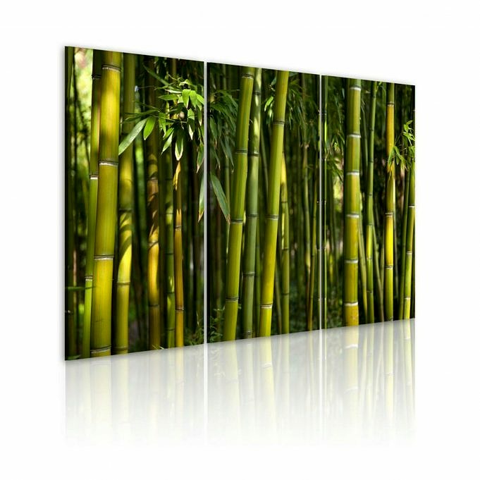 Acquistare Fogli Di Bambù Recensione Di Fogli Di Bambù - I Nostri Pro E Contro